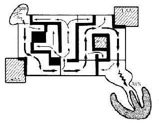 Conceptual Design of the Maze Procedure