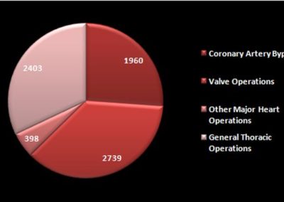 Breakdown Of Dr. Singer's Cases By Category - 11/17/2020