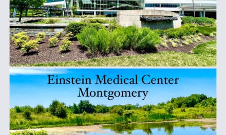 Einstein Named Among 250 Best American Hospitals