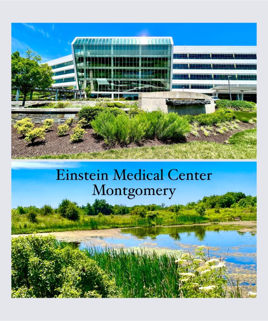 Einstein Named Among 250 Best American Hospitals | heartlungdoc.com