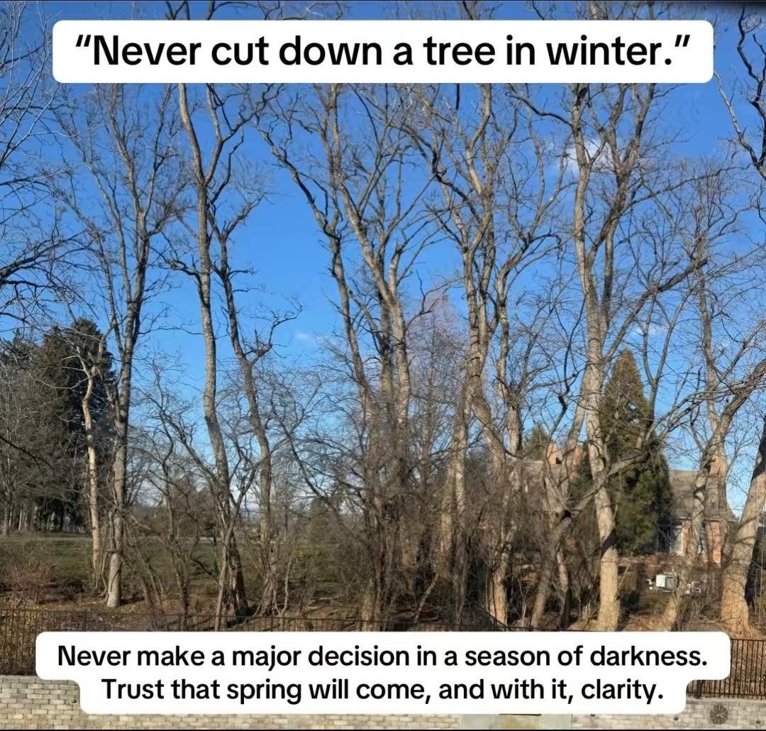 Never Cut Down a Tree in Winter