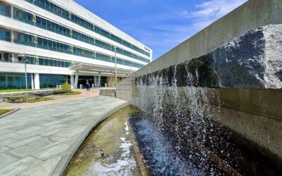 Beauty of Seasons in Healing