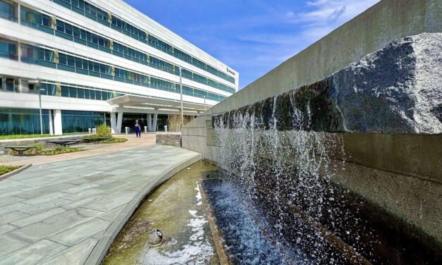 Beauty of Seasons in Healing